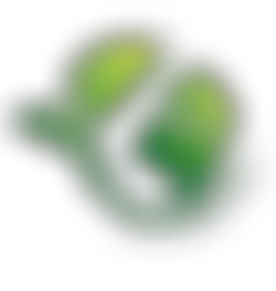 Neighbourhood Prayer Network | Charici