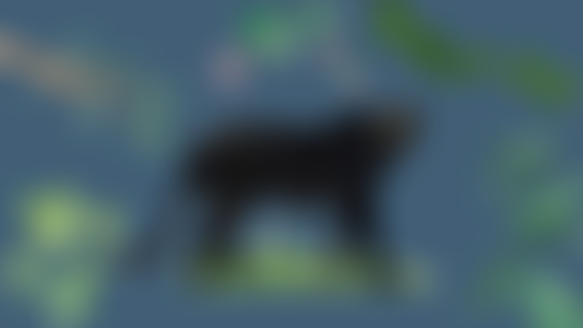 Onca Trust Limited | Charici
