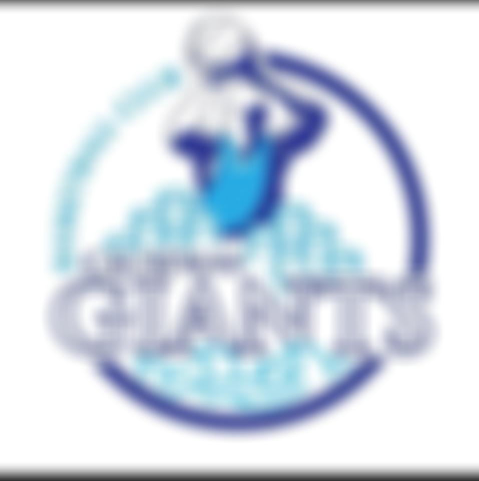 The Honourable The Irish Society | Charici