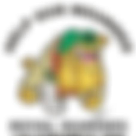 Help Our Wounded Royal Marines And Supporting Arms | Charici