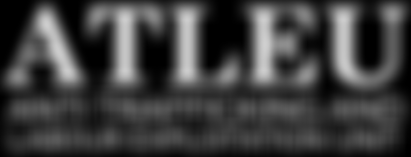 Anti-Trafficking And Labour Exploitation Unit (Atleu) Limited | Charici