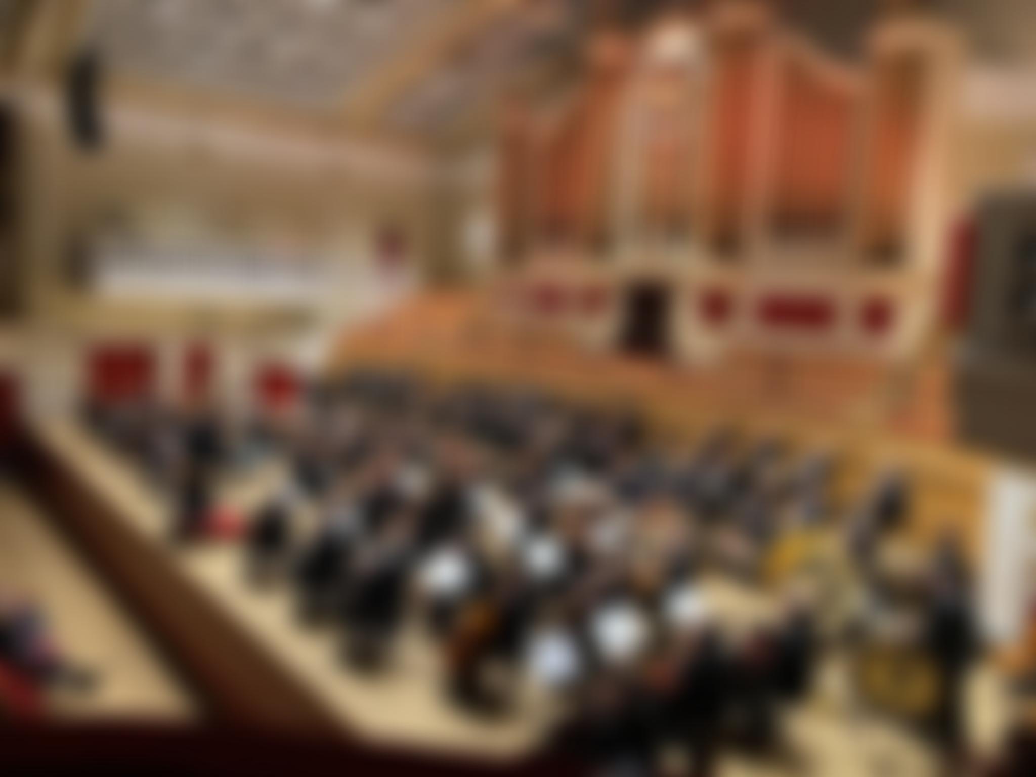 The Bardi Orchestra | Charici