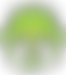 Williamson Children's Trust | Charici