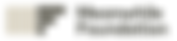 Meanwhile Foundation | Charici