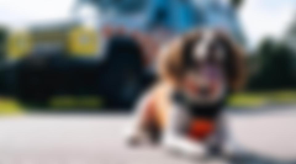 Nottinghamshire Search And Rescue Team | Charici