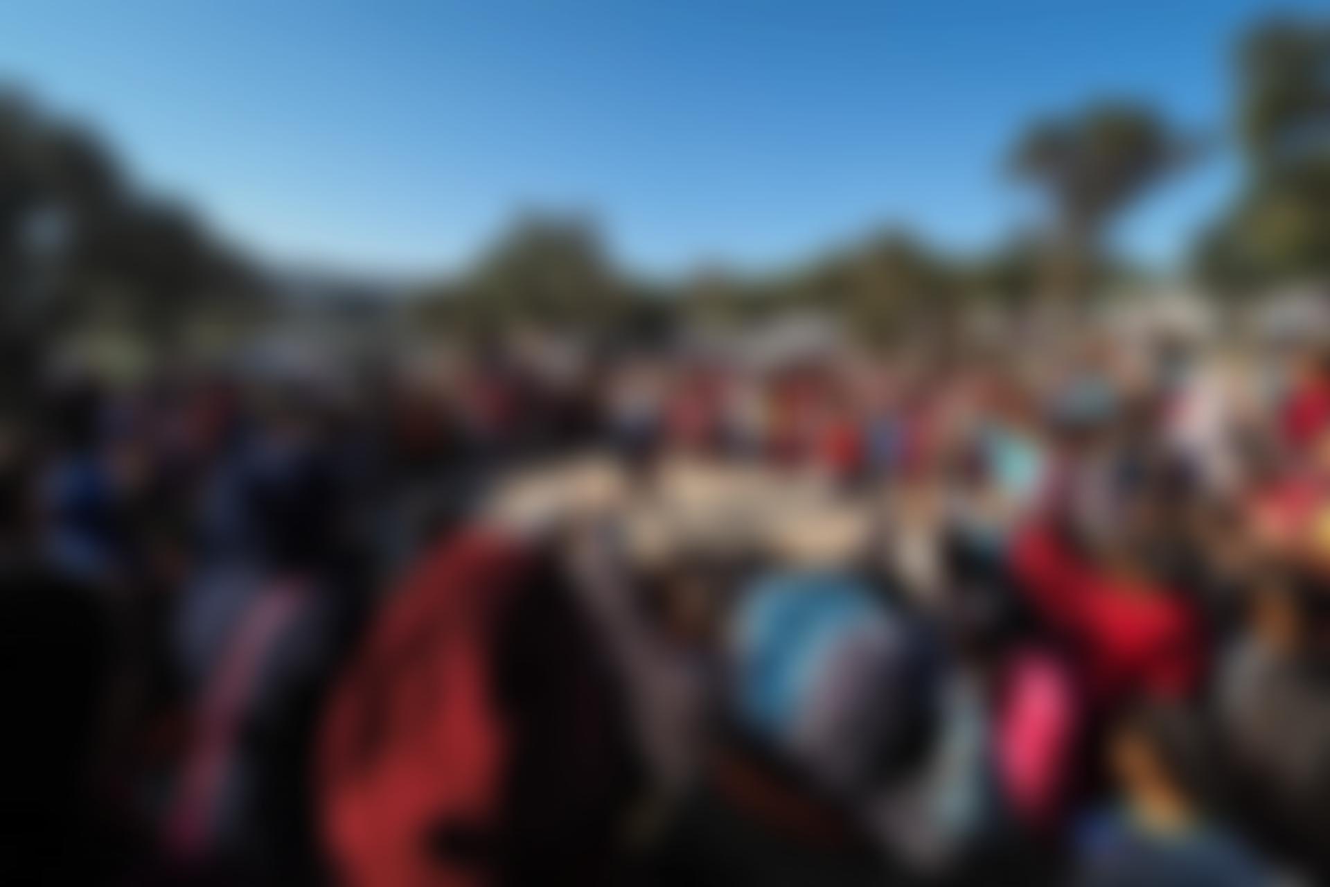 The Flying Seagull Project | Charici