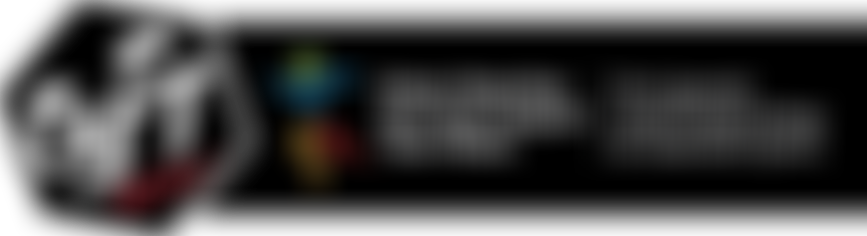 Ethnic Youth Support Team | Charici