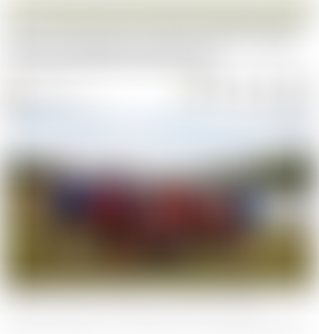 Stevenage Sporting Futures Team Ltd | Charici