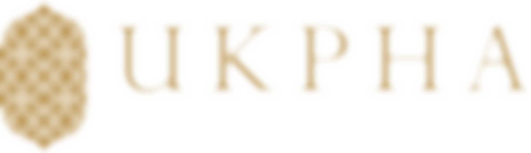United Kingdom Punjab Heritage Association | Charici