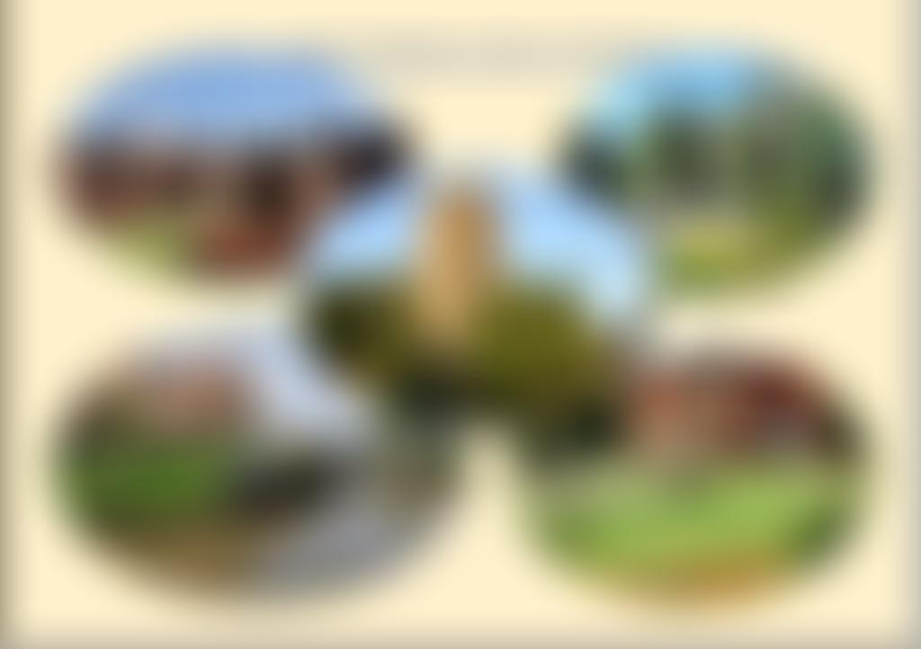 Bulkington Nuneaton Bedworth U3A | Charici