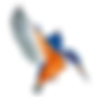 Maple Lodge Conservation Society | Charici