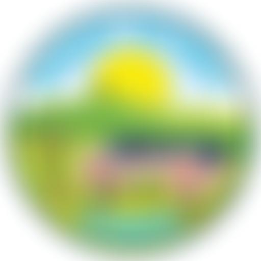 Friends Of Bright Futures School | Charici