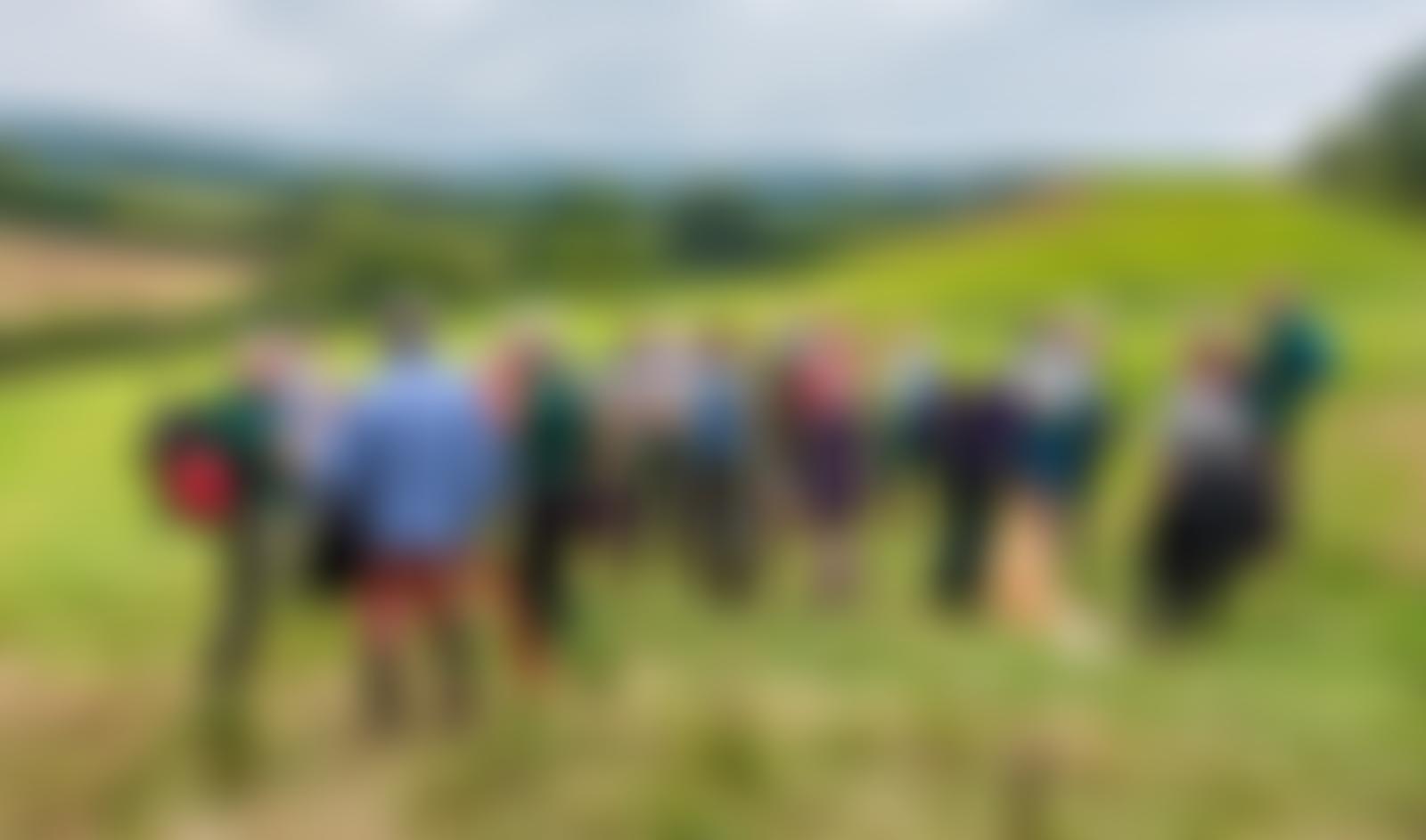 Friends Of The Quantocks | Charici