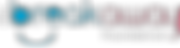 The Breakaway Foundation | Charici