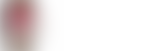 Deeside House Educational Trust Limited | Charici