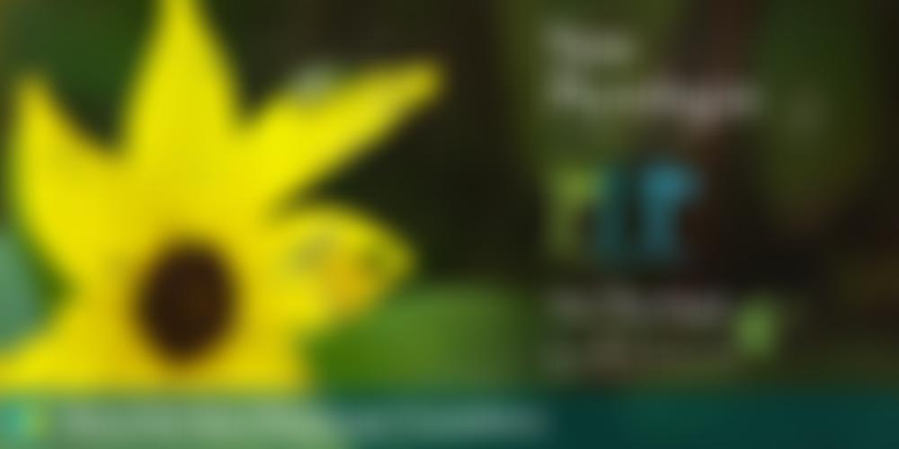 The New Phytologist Foundation | Charici