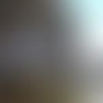 Brighton Light Trust | Charici