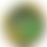 Earls Barton Music | Charici