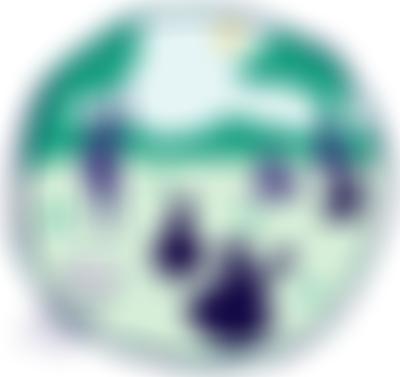 Friends Southern Summer Events | Charici