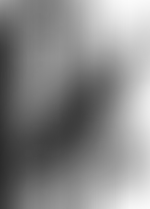 The Bill Lloyd Memorial Trust Limited | Charici