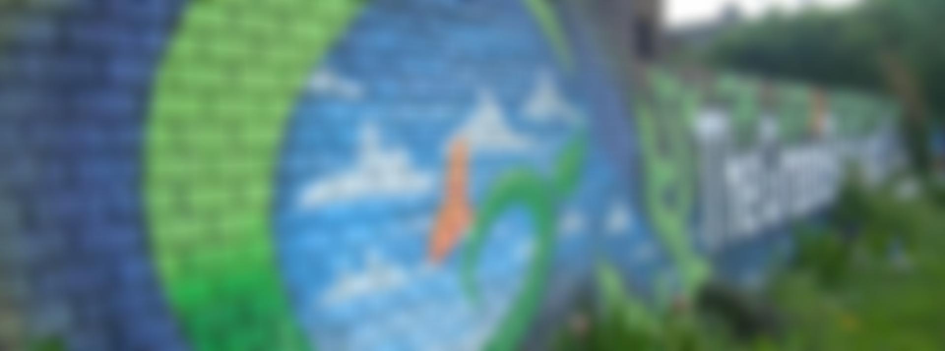 The Green Backyard | Charici