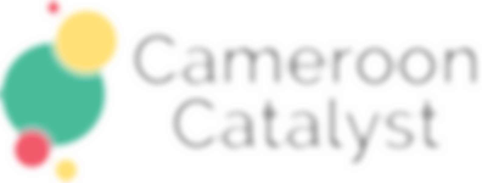 Cameroon Catalyst | Charici