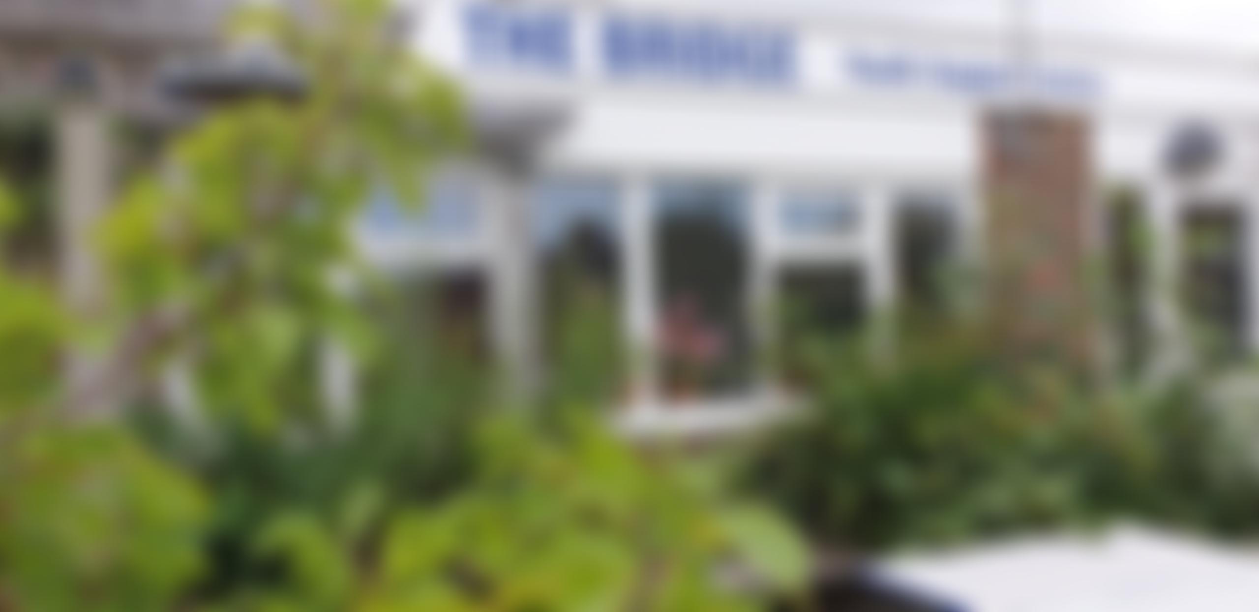 Youth Dream (Selsey) Limited | Charici
