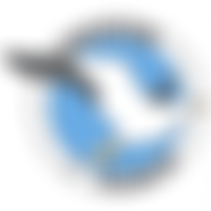 Swanage Museum | Charici