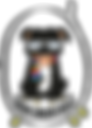 Senior Staffy Club | Charici