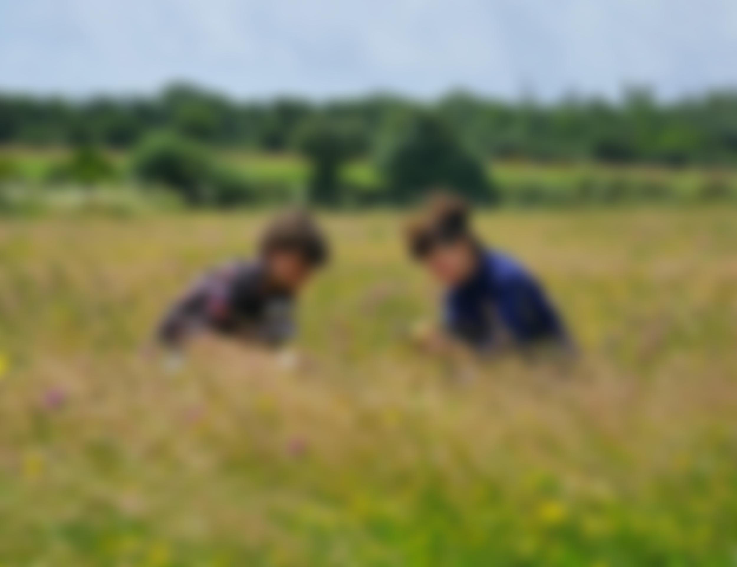 The Kestle Barton Trust | Charici