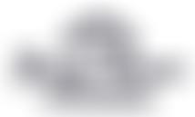 The Racing Chance Foundation | Charici