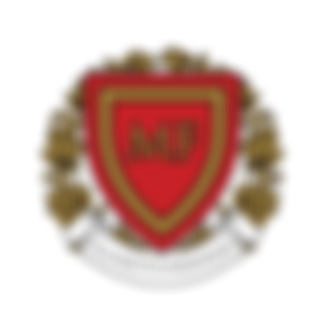 Manzi Foundation | Charici