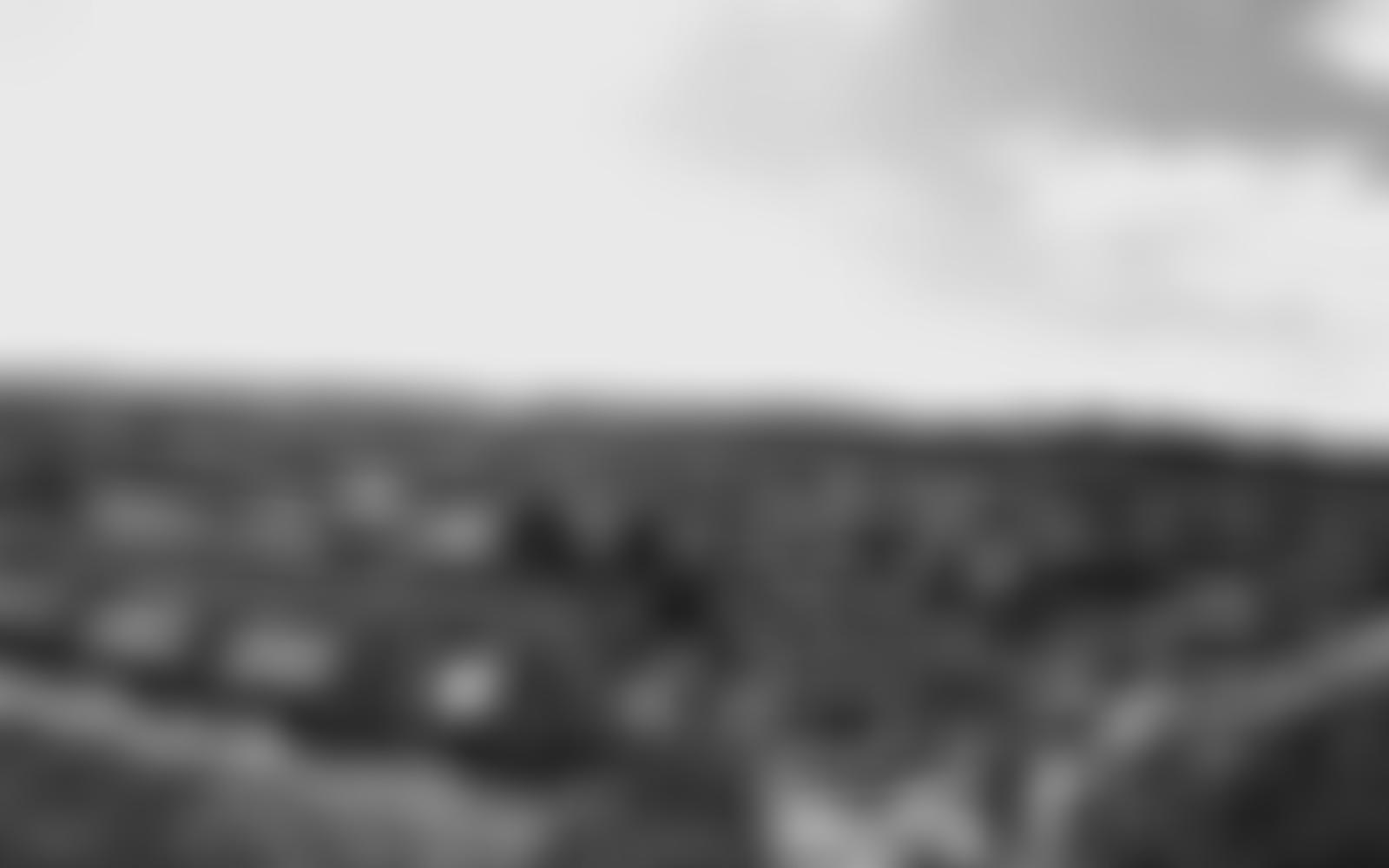 Hornsey Historical Society | Charici