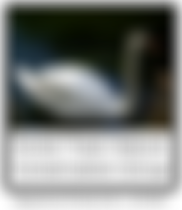 Forest Town Nature Conservation Group | Charici