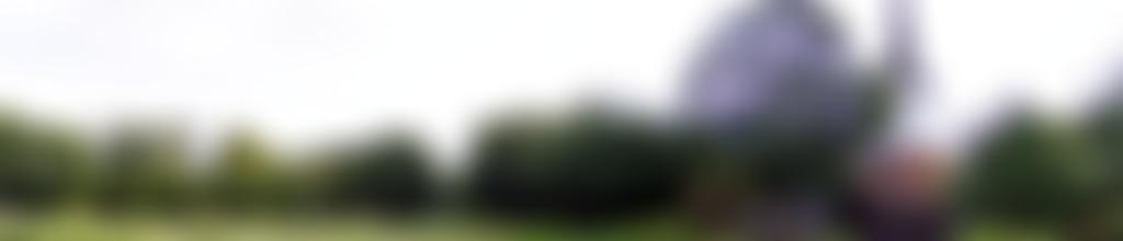 The Parochial Church Council Of The Ecclesiastical Parish Of All Saints' Stock Harvard | Charici