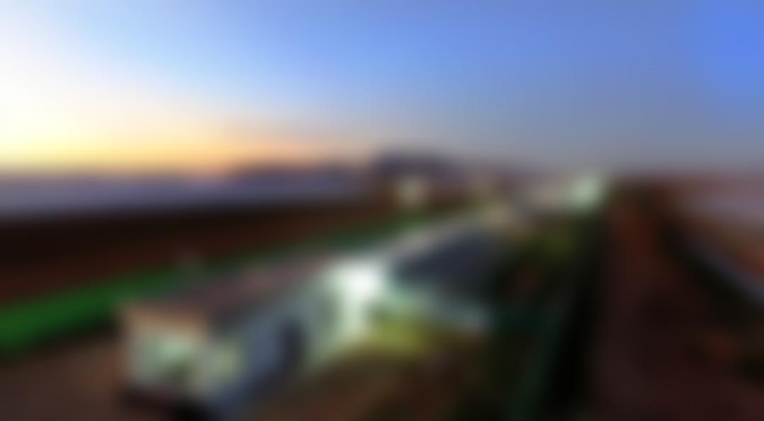 Galgos Del Sol UK | Charici