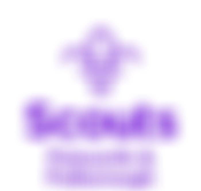 1St Pulborough And Bury Scout Group | Charici