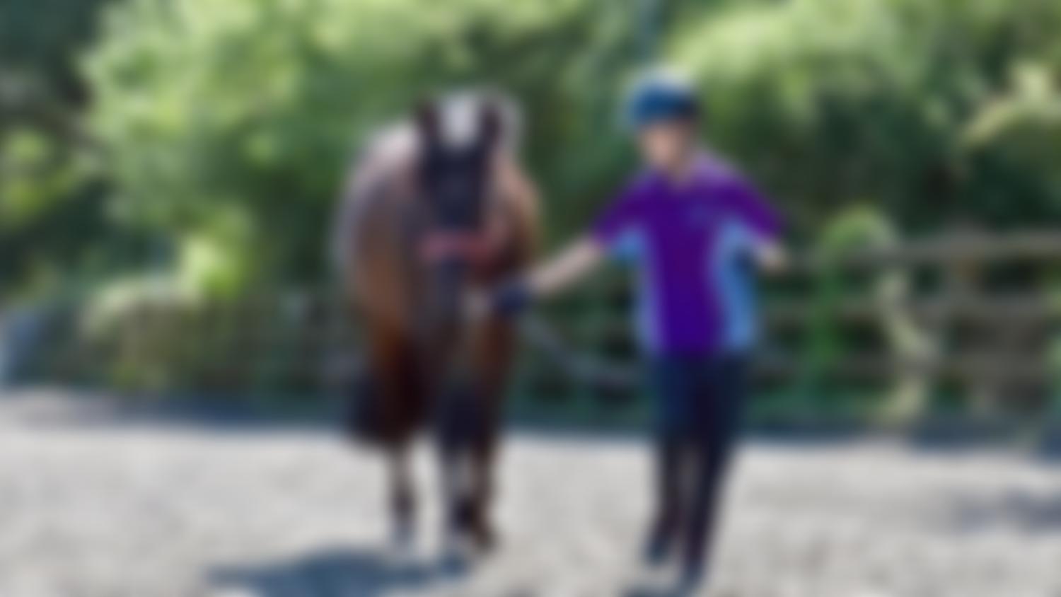 Strength & Learning Through Horses | Charici