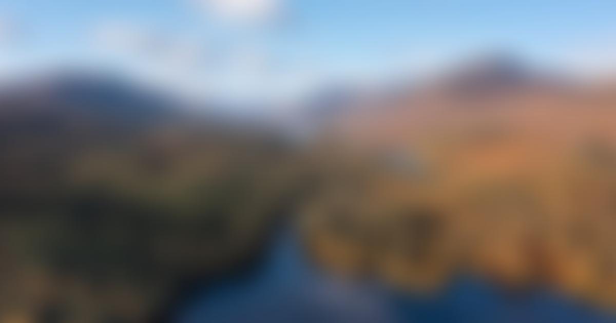 Rewilding Britain | Charici