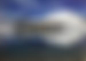 The Healing Bus | Charici