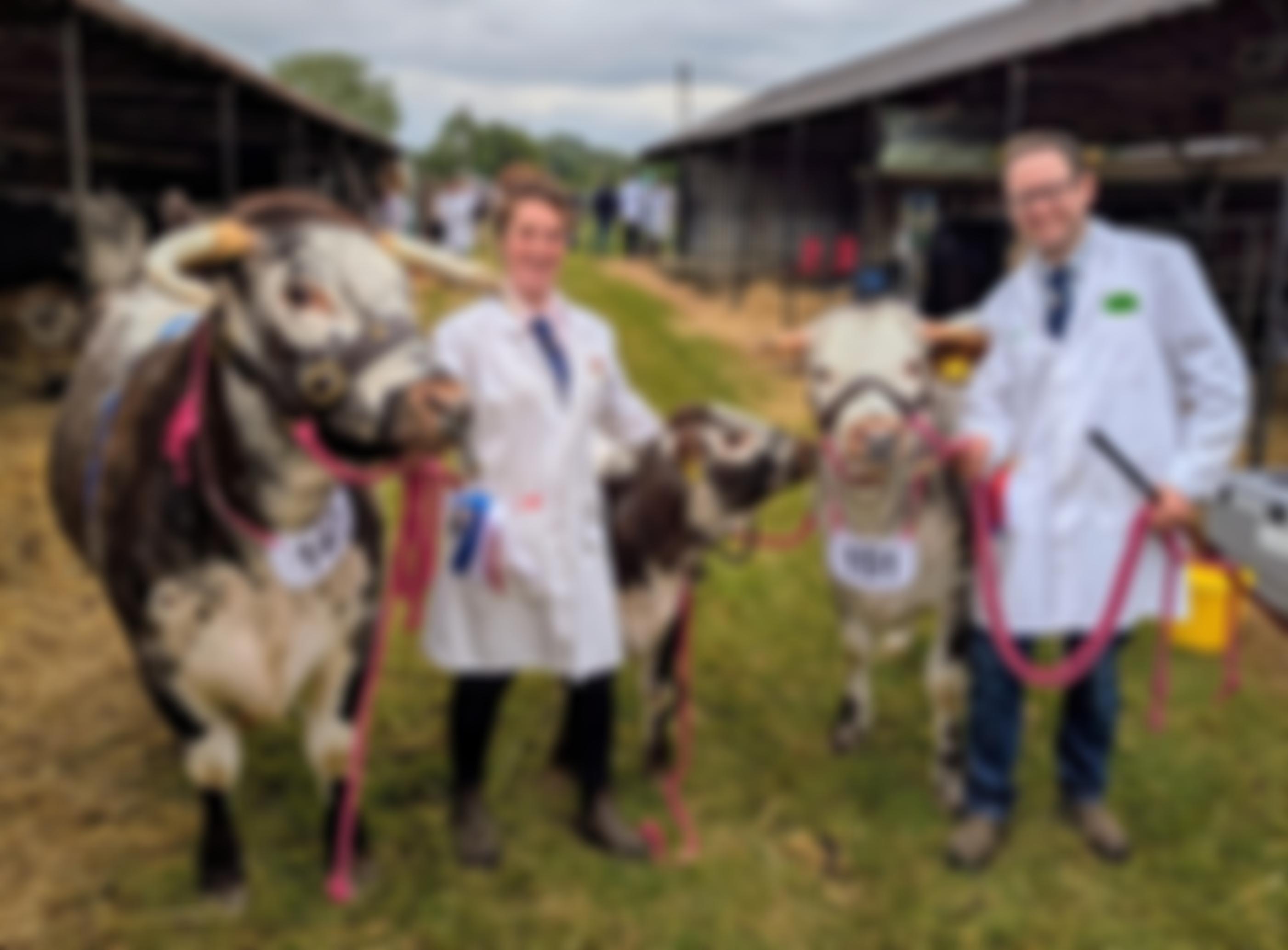 The Longhorn Cattle Society | Charici