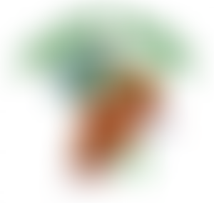 Project Gambia Trust - Ridgewood | Charici