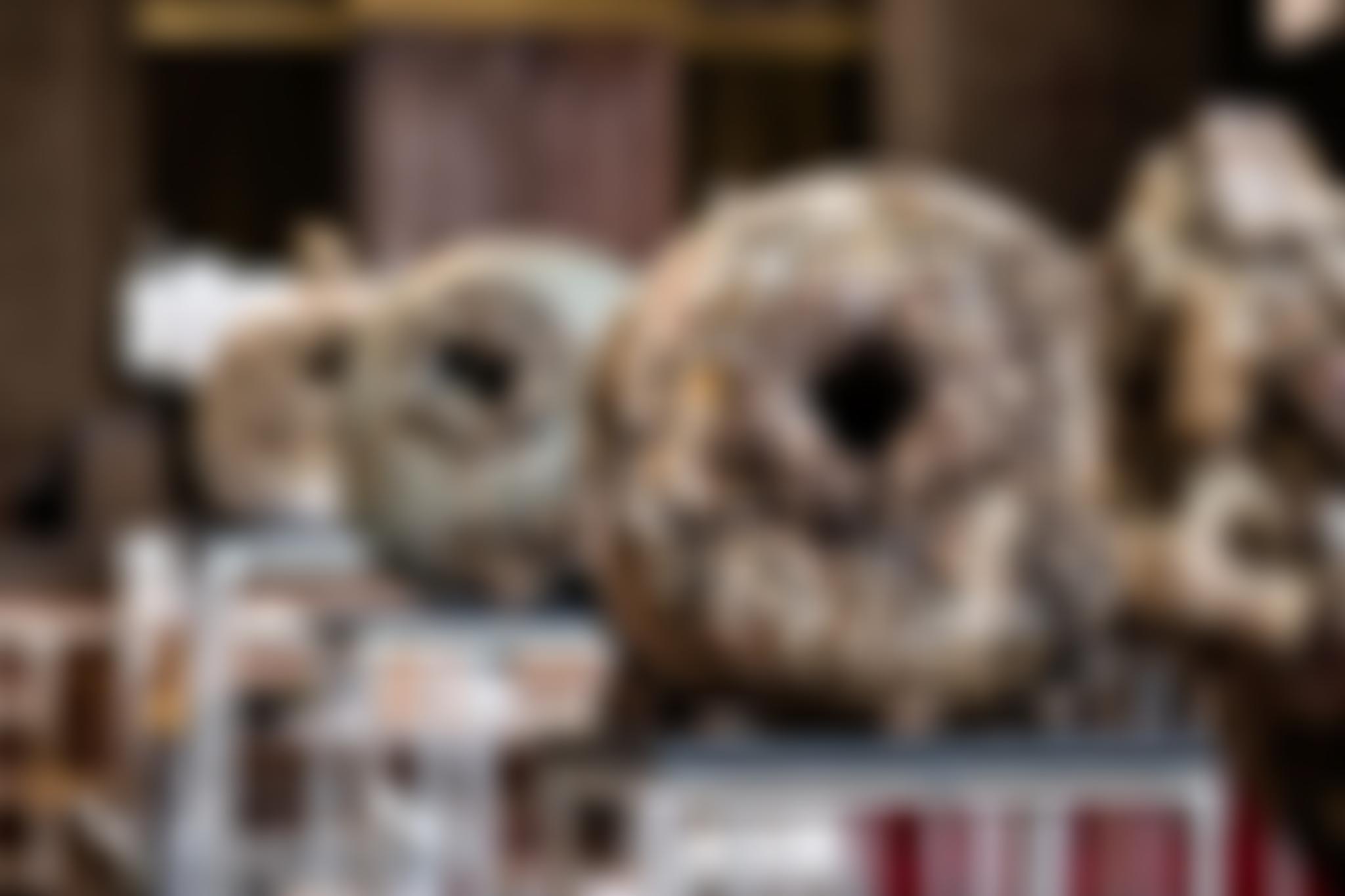 The Clay Foundation | Charici