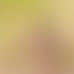 The Exmoor Society | Charici