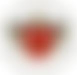 The James And Deirdre Dyson Trust | Charici