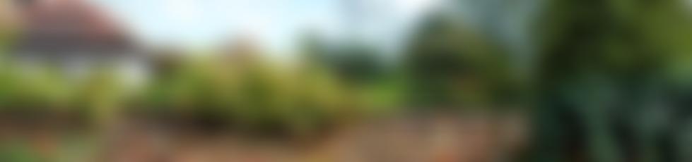 Lettsom Gardens Association | Charici