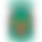 C.rh.a Ysgol Mynydd Bychan Pta | Charici