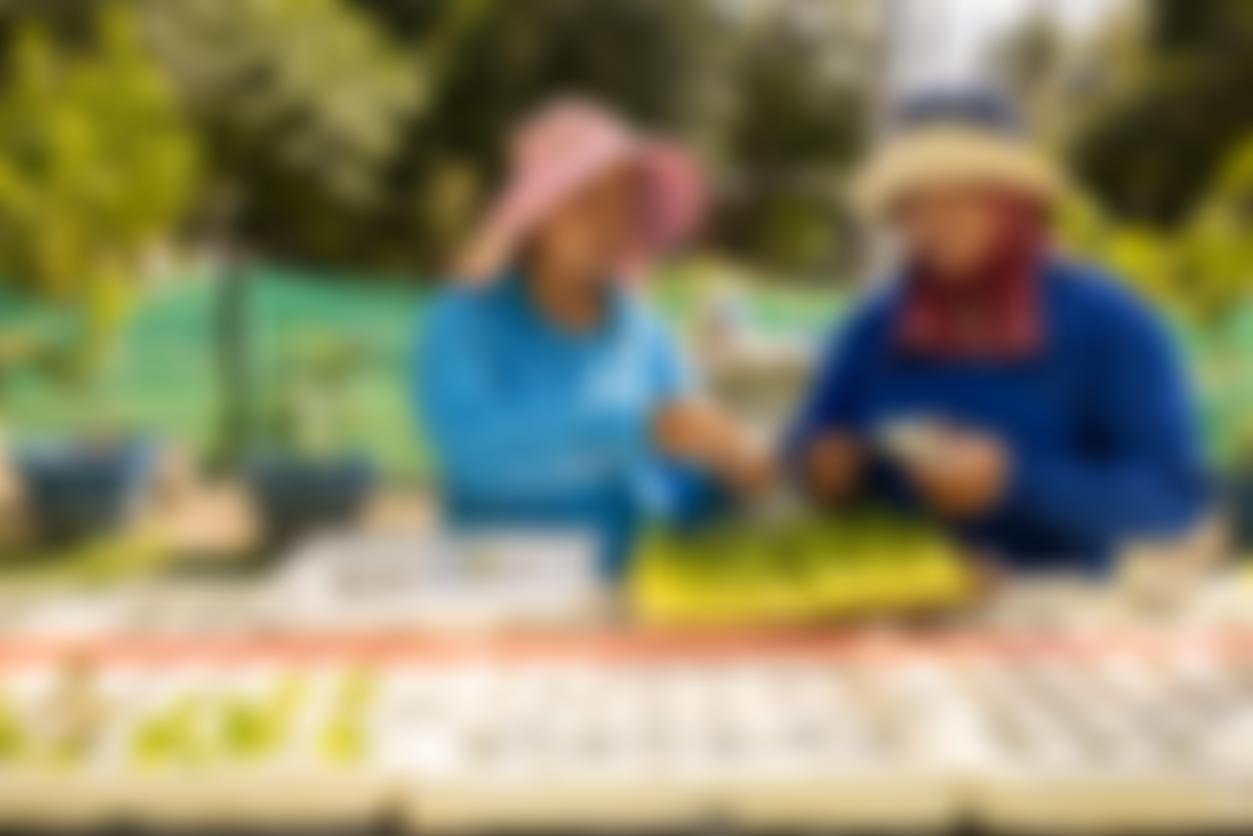 Ocs Foundation | Charici