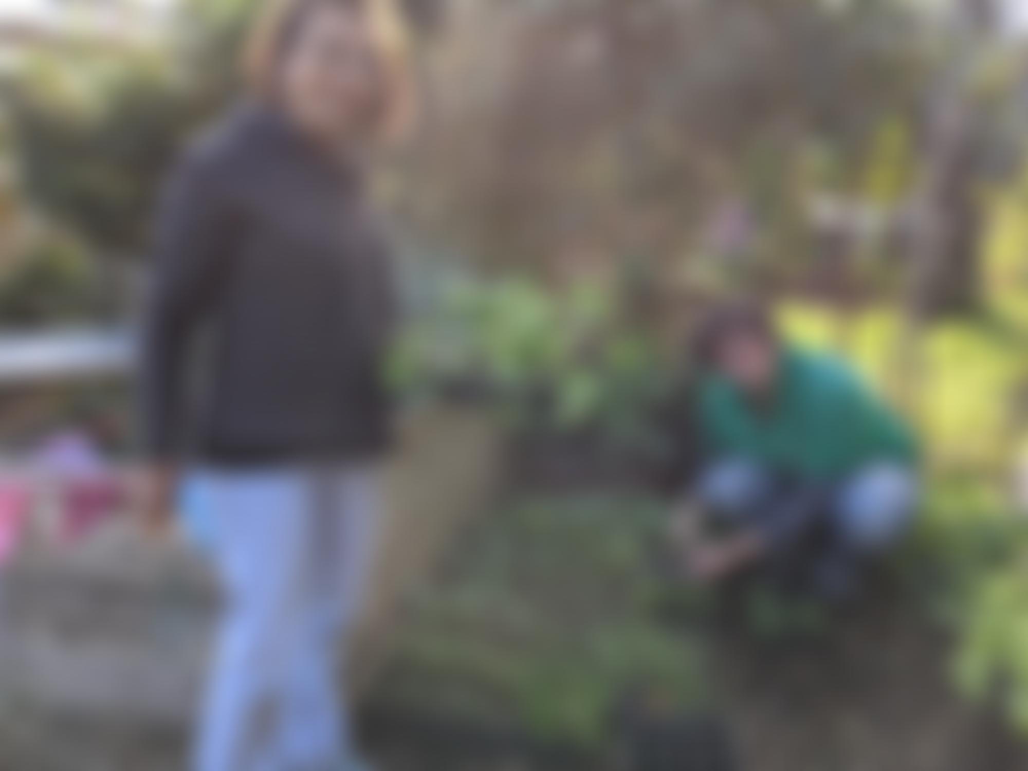 Grow Cardiff | Charici