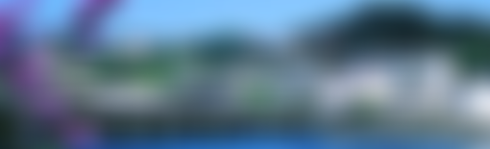 Torridge Volunteer Cars | Charici